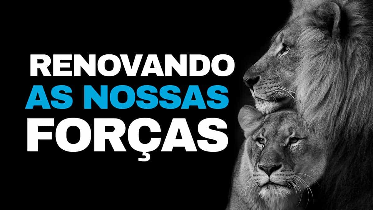 Devocional Renovando as nossas forças