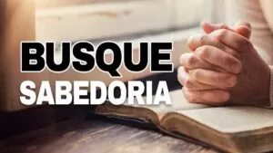 Leia mais sobre o artigo BUSQUE SABEDORIA