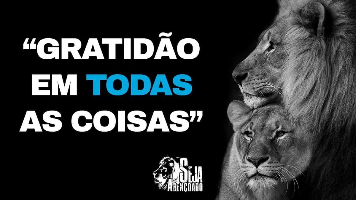 No momento, você está visualizando GRATIDÃO EM TODAS AS COISAS