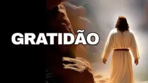 Leia mais sobre o artigo GRATIDÃO